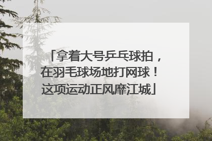 拿着大号乒乓球拍，在羽毛球场地打网球！这项运动正风靡江城