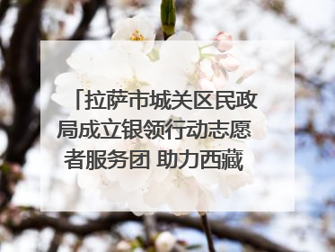 拉萨市城关区民政局成立银领行动志愿者服务团 助力西藏银发经济发展