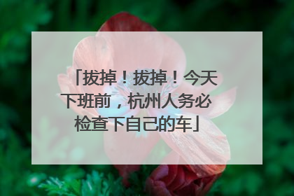 拔掉！拔掉！今天下班前，杭州人务必检查下自己的车