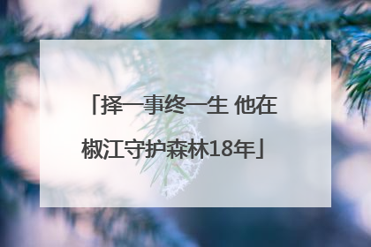 择一事终一生 他在椒江守护森林18年
