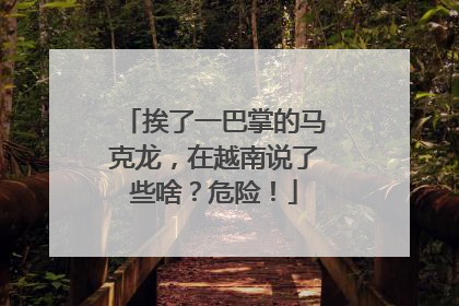 挨了一巴掌的马克龙，在越南说了些啥？危险！