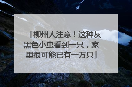 柳州人注意！这种灰黑色小虫看到一只，家里很可能已有一万只