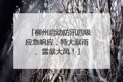 柳州启动防汛四级应急响应，特大暴雨、雷暴大风！