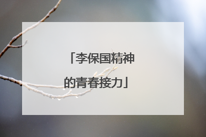 李保国精神的青春接力