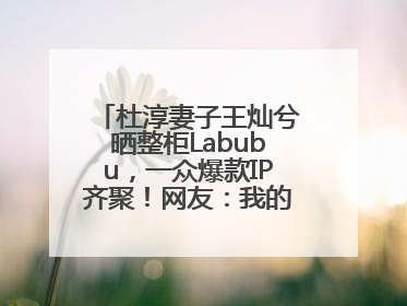 杜淳妻子王灿兮晒整柜Labubu，一众爆款IP齐聚！网友：我的 “梦中情柜”