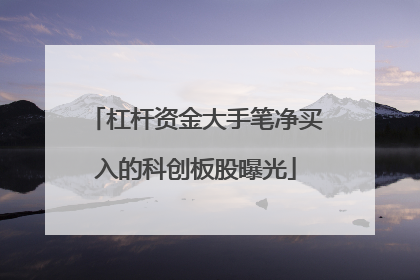 杠杆资金大手笔净买入的科创板股曝光