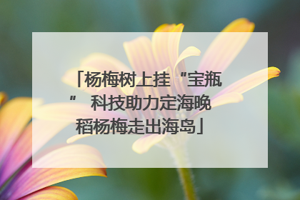 杨梅树上挂“宝瓶” 科技助力定海晚稻杨梅走出海岛
