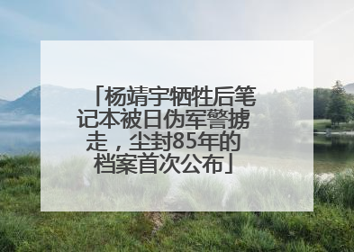 杨靖宇牺牲后笔记本被日伪军警掳走，尘封85年的档案首次公布