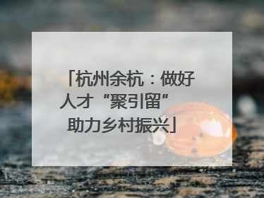杭州余杭：做好人才“聚引留” 助力乡村振兴