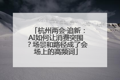 杭州两会·追新：AI如何让消费突围？场景和路径成了会场上的高频词