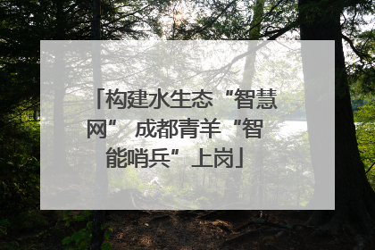 构建水生态“智慧网” 成都青羊“智能哨兵”上岗