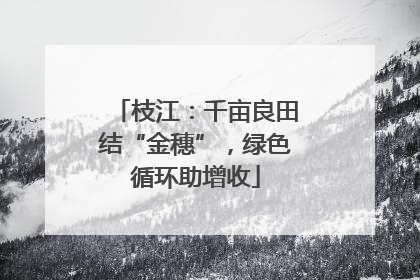 枝江：千亩良田结“金穗”，绿色循环助增收