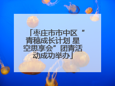 枣庄市市中区“青穗成长计划 星空思享会”团青活动成功举办