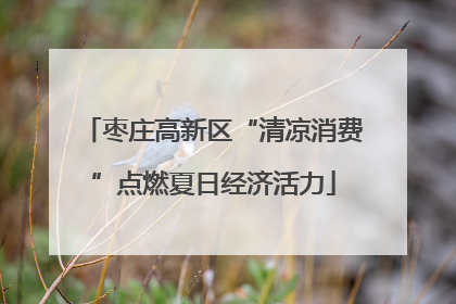 枣庄高新区“清凉消费”点燃夏日经济活力