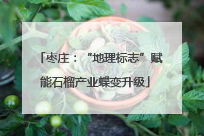 枣庄：“地理标志”赋能石榴产业蝶变升级