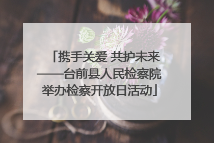 携手关爱 共护未来——台前县人民检察院举办检察开放日活动