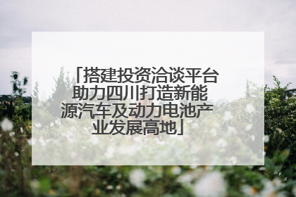 搭建投资洽谈平台 助力四川打造新能源汽车及动力电池产业发展高地