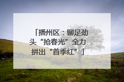 播州区：铆足劲头“抢春光”全力拼出“首季红”