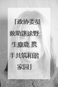 政协委员救助迷途野生麋鹿 携手共筑和谐家园