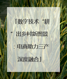 数字技术“耕”出乡村新图景：电商助力三产深度融合