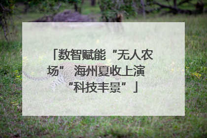 数智赋能“无人农场” 海州夏收上演“科技丰景”