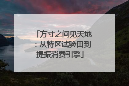方寸之间见天地：从特区试验田到提振消费引擎
