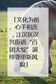 文化为桥、心手相连，江汉区汉兴街道“百团大绽”演绎邻里新风貌