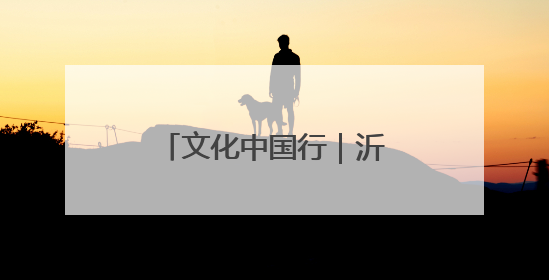 文化中国行｜沂蒙老区“守艺人”的文化匠心