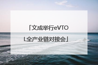 文成举行eVTOL全产业链对接会