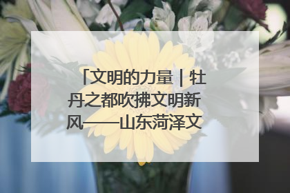 文明的力量｜牡丹之都吹拂文明新风——山东菏泽文明创建一线见闻