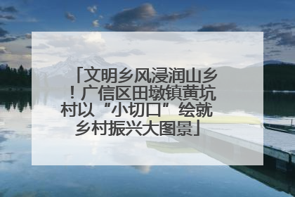 文明乡风浸润山乡！广信区田墩镇黄坑村以“小切口”绘就乡村振兴大图景