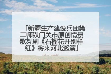 新疆生产建设兵团第二师铁门关市原创情景歌舞剧《石榴花开别样红》将来河北巡演