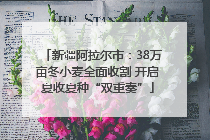 新疆阿拉尔市：38万亩冬小麦全面收割 开启夏收夏种“双重奏”