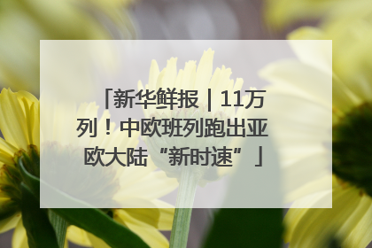 新华鲜报｜11万列！中欧班列跑出亚欧大陆“新时速”