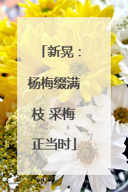 新晃：杨梅缀满枝 采梅正当时