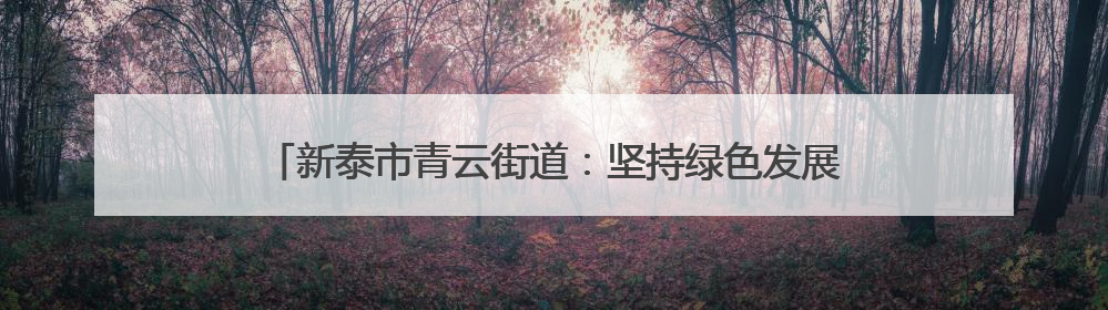 新泰市青云街道：坚持绿色发展，加快形成乡村振兴新质生产力