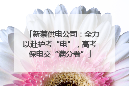 新蔡供电公司：全力以赴护考“电”，高考保电交“满分卷”