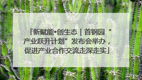 新赋能•创生态｜首钢园“产业跃升计划”发布会举办，促进产业合作交流走深走实