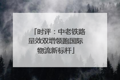 时评：中老铁路量效双增领跑国际物流新标杆