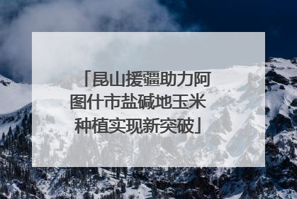 昆山援疆助力阿图什市盐碱地玉米种植实现新突破