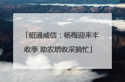 昭通威信：杨梅迎来丰收季 助农增收采摘忙