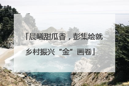 晨曦甜瓜香，彭集绘就乡村振兴“金”画卷
