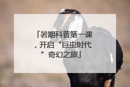 暑期科普第一课，开启“巨虫时代”奇幻之旅