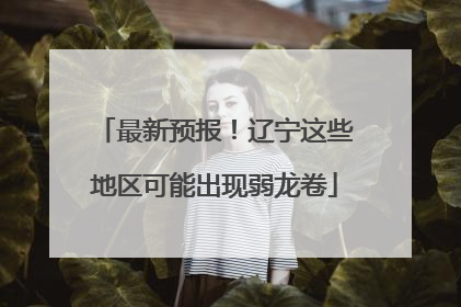 最新预报！辽宁这些地区可能出现弱龙卷