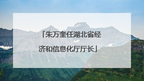 朱万奎任湖北省经济和信息化厅厅长
