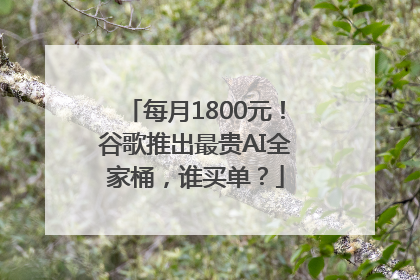 每月1800元！谷歌推出最贵AI全家桶，谁买单？