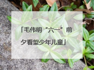 毛伟明“六一”前夕看望少年儿童