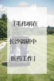 毛伟明在长沙调研中医药工作