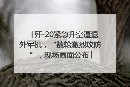 歼-20紧急升空逼退外军机，“数轮激烈攻防”，现场画面公布