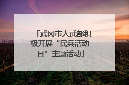 武冈市人武部积极开展“民兵活动日”主题活动